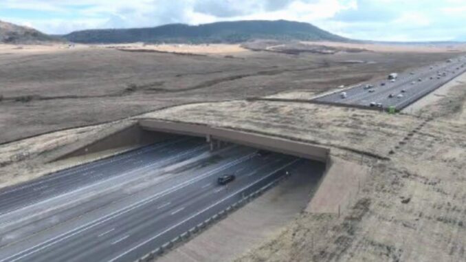 Die größte Wildtierbrücke der Welt eröffnet - BlauBahn