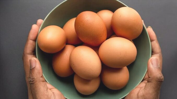 Eier waschen ist nicht so harmlos, wie Sie denken - BlauBahn