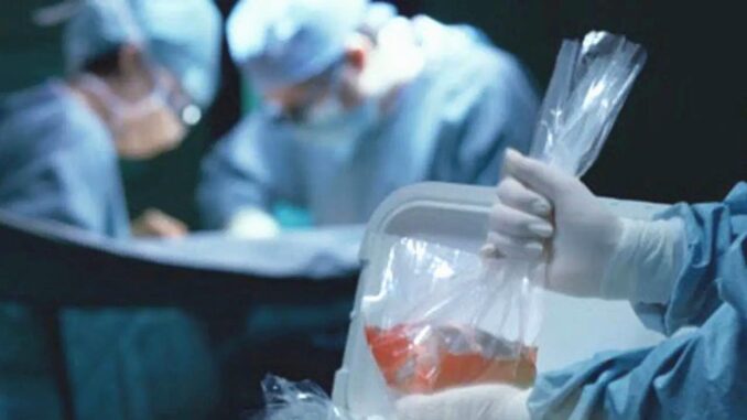 Irrsinn beim Nierentransplantation, er verlor sein Leben - BlauBahn