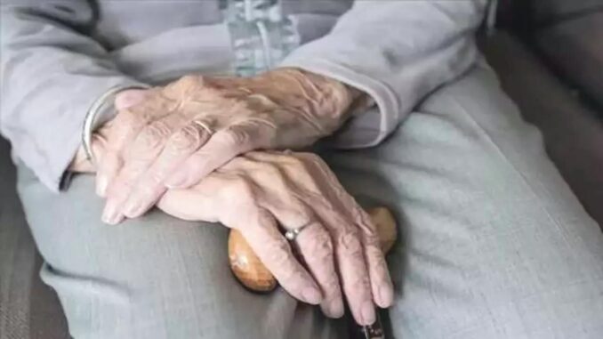 Türk-İş-Daten zeigen den ungesunden Zustand von Menschen über 70 Jahren in Türkiye: Sie sind von Unterernährung bedroht - BlauBahn