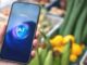 Was verspricht Chatgpt Health, warum wird darüber diskutiert? - BlauBahn