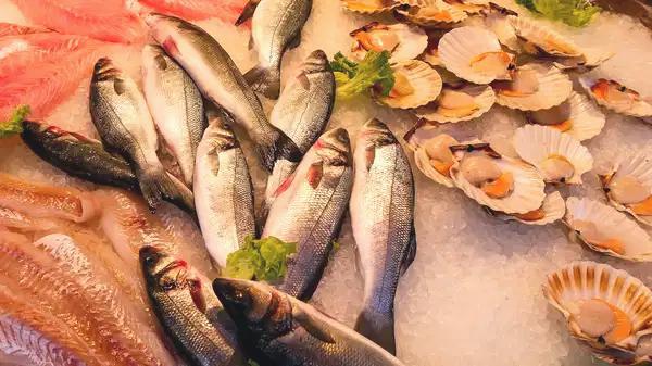 Neue Gefahr durch Erhitzung: Fischkonsum im Fokus - BlauBahn