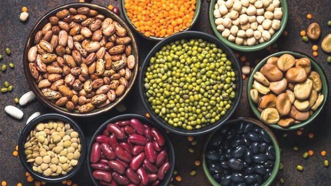 Protein-Ansatz allein reicht nicht - BlauBahn