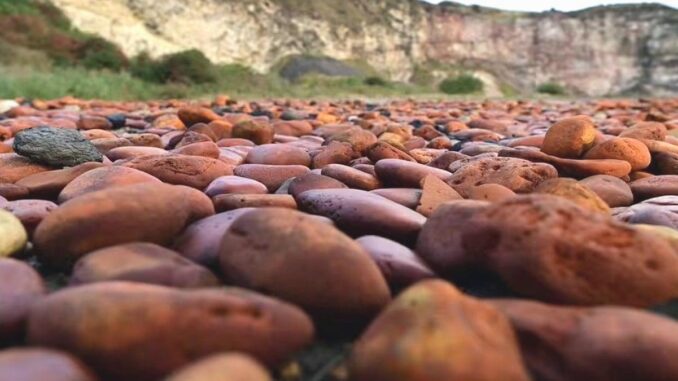 Giftige Schatzsucher am Strand - BlauBahn