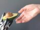 Künstliche Intelligenz: Gefahr für Jugendliche - BlauBahn