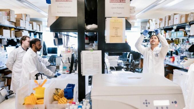Genetische Kartenstudie Neue Tür zur HIV-Behandlung - BlauBahn