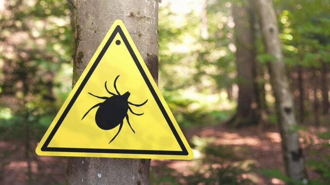 Hämorrhagisches Krim-Kongo-Fieber und Zecken: Wissenswertes - BlauBahn