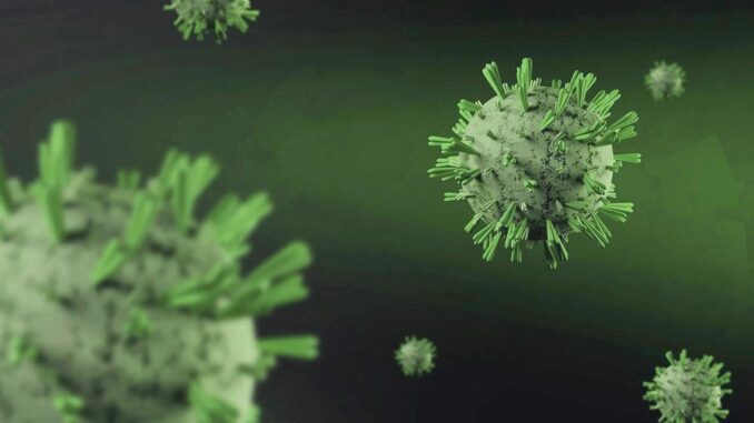 Meningitis-Debatte: Keine Epidemie - BlauBahn