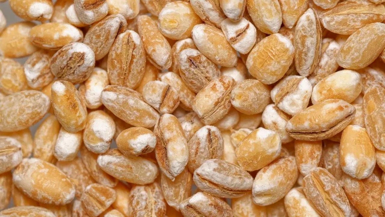 Sind alte Getreide gesund? - BlauBahn