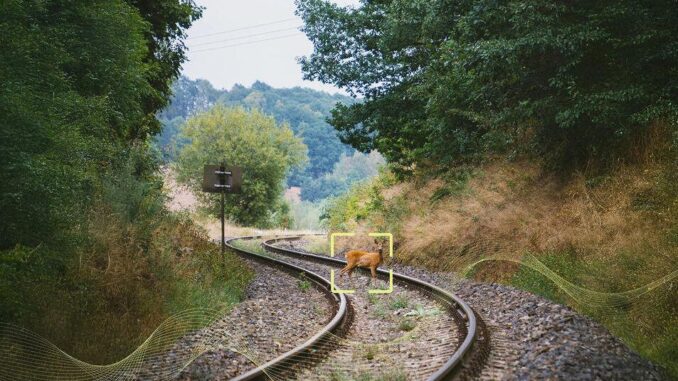 Alstom: Intelligente Systeme zum Schutz der Tierwelt im Bahnwesen - BlauBahn