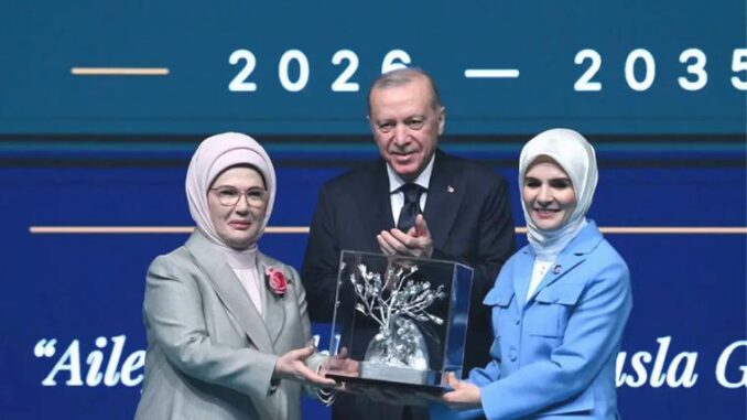 „Familie und Bevölkerungszehnjahr“: Gesundheit und Arbeitsrechte in der Türkei stärken - BlauBahn