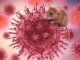 Hantavirus: Was ist das, wie wird es übertragen und welche Symptome treten auf? - BlauBahn
