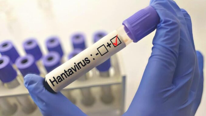 Vorsicht vor Grippesymptomen: Experten warnen vor Hantavirus - BlauBahn