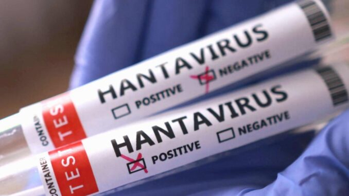 WHO-Präsident warnt: Hantavirus ist definitiv von COVID-19 bedroht - BlauBahn