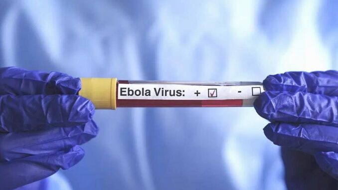 Ebola-Alarm in Frankreich: Erste Falle bestätigt - BlauBahn