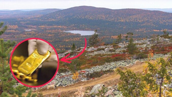 Goldsuche in Finnland: 20.000 Euro Schatzsuche im Levi-Wald - BlauBahn