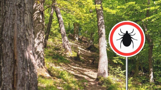Vermeiden Sie diesen Fehler beim Entfernen des Klebebandes - BlauBahn