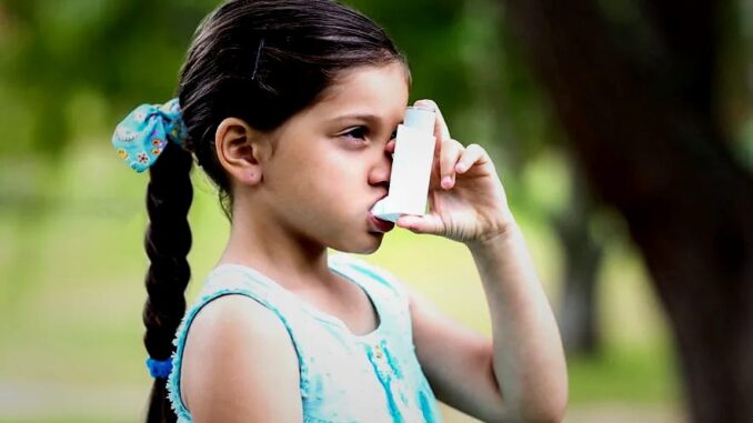 Alarm im Sommer: Wichtige Auslöser für Asthmaerkrankungen bei Kindern - BlauBahn