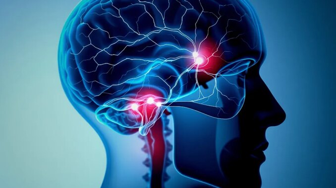 The Brain Perceives the Pain of Love as Physical Pain: Neurological and Emotional Interactions - BlauBahn