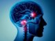 The Brain Perceives the Pain of Love as Physical Pain: Neurological and Emotional Interactions - BlauBahn