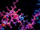 Facts of the Enzyme System Discovered by Claude: Explanation of the Expert Biologist - BlauBahn