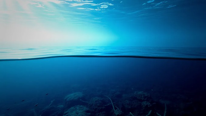 Gefahr im Pazifik: Wissenschaftler identifizieren tote Zone im Meer - BlauBahn