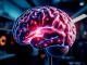 Gemeinsame neuronale Mechanismen von Oxytocin und Angstgedächtnis im Gehirn entdeckt - BlauBahn