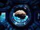 Neurotechnologische Revolution im All: Miniaturisierte menschliche Gehirnmodelle auf der Internationalen Raumstation - BlauBahn